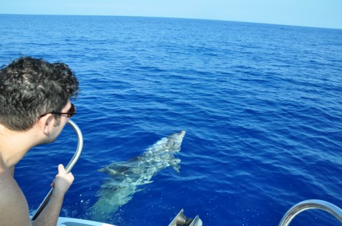 bottlenose - come on ron open the throttle