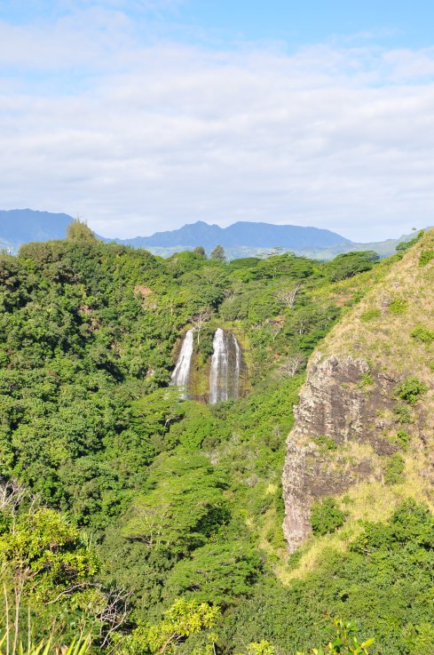 jan 11 waterfall opaekaa